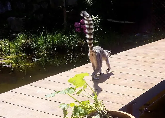 Kaiserhaus Harald Astner 1 Гостевой дом 3*