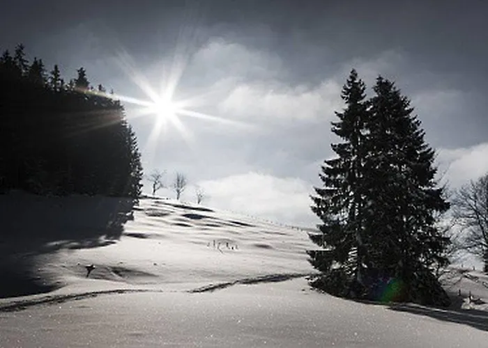 Kaiserhaus Harald Astner 1 Эббс