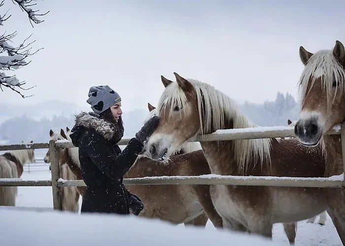 Гостевой дом Kaiserhaus Harald Astner 1 3*