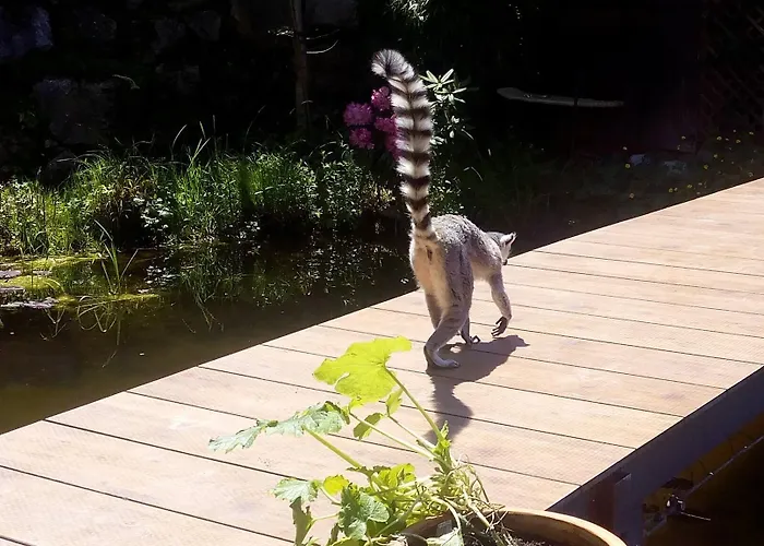 Kaiserhaus Harald Astner 1 3* Эббс