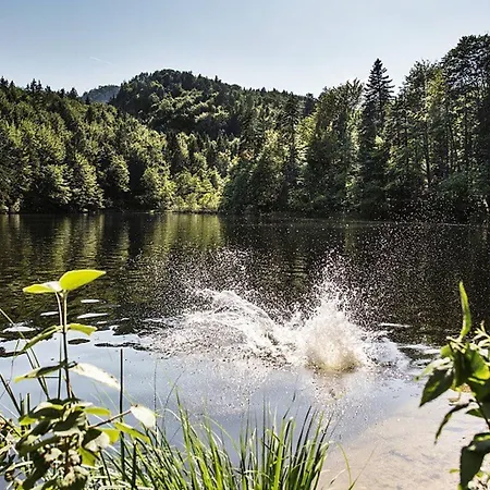 Гостевой дом Kaiserhaus Harald Astner 1 Эббс