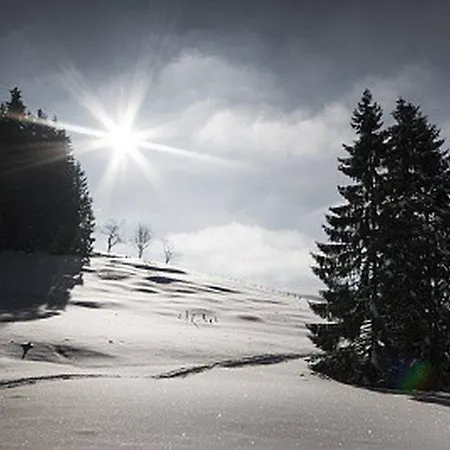 Kaiserhaus Harald Astner 1 Эббс