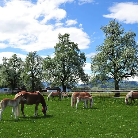 Гостевой дом Kaiserhaus Harald Astner 1 Эббс