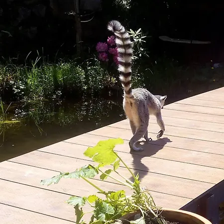 Kaiserhaus Harald Astner 1 3* Эббс