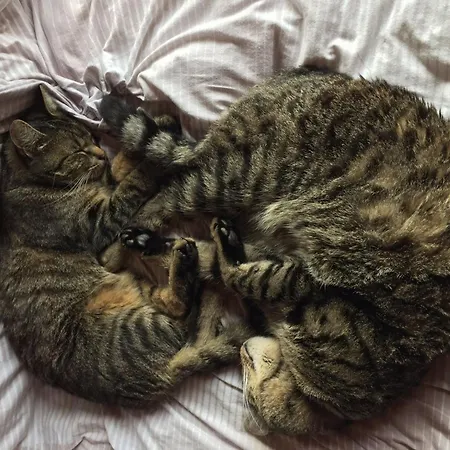 Kaiserhaus Harald Astner 1