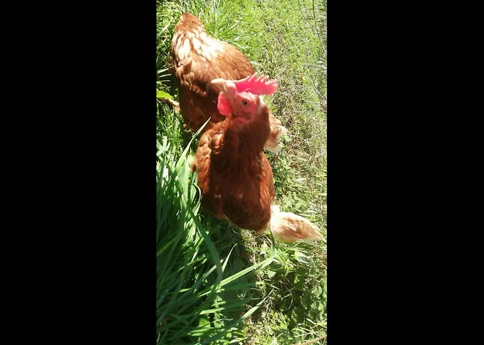 Kaiserhaus Harald Astner 1 3*