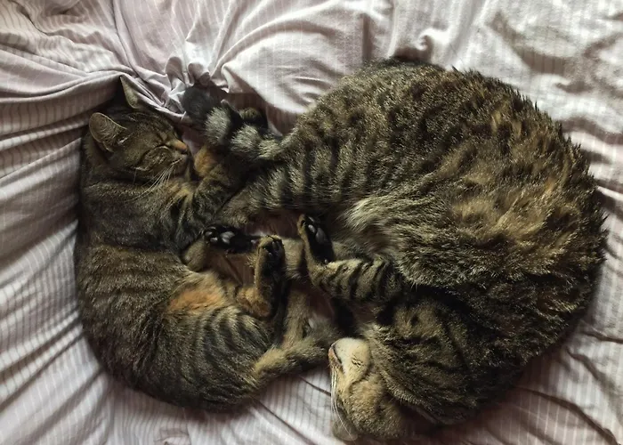 Kaiserhaus Harald Astner 1