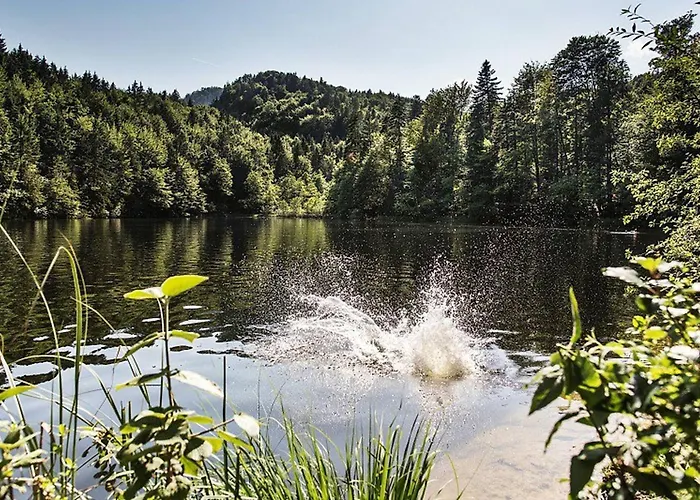 Gasthof Kaiserhaus Harald Astner 1 Ebbs