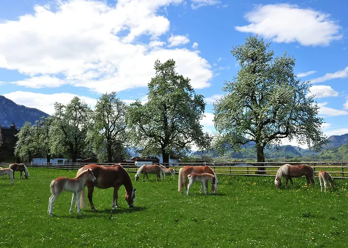 Gasthof Kaiserhaus Harald Astner 1 Ebbs